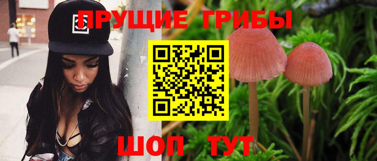 Галлюциногенные грибы Psilocybine cubensis  Вход с VPN  Абакан  Псилоцибиновые грибы мицелий 